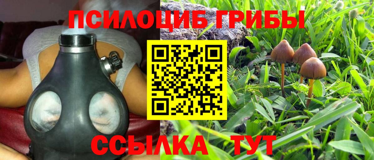 Галлюциногенные грибы мицелий  Вход с VPN  Псилоцибиновые грибы Magic Shrooms  Звенигород 