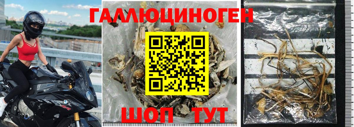 Галлюциногенные грибы Magic Shrooms Звенигород